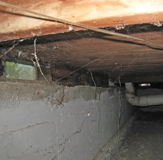 Crawlspace Water Damage Cleanup in Bonita Springs, FL