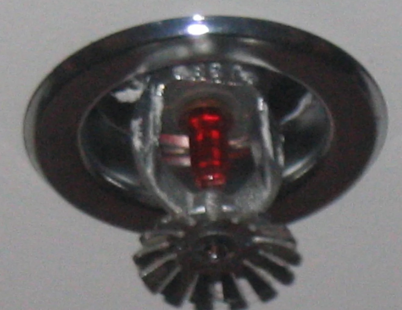 Sprinkler System Water Removal in The Meadows, FL