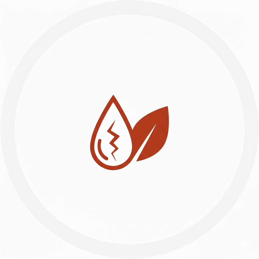 Window Replacement Bonita Springs, FL