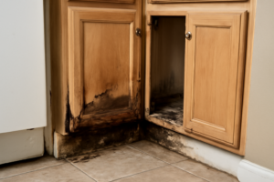 Cabinet Water Damage Repair