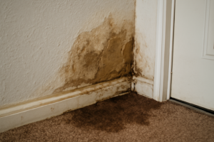 Moisture Detection Services